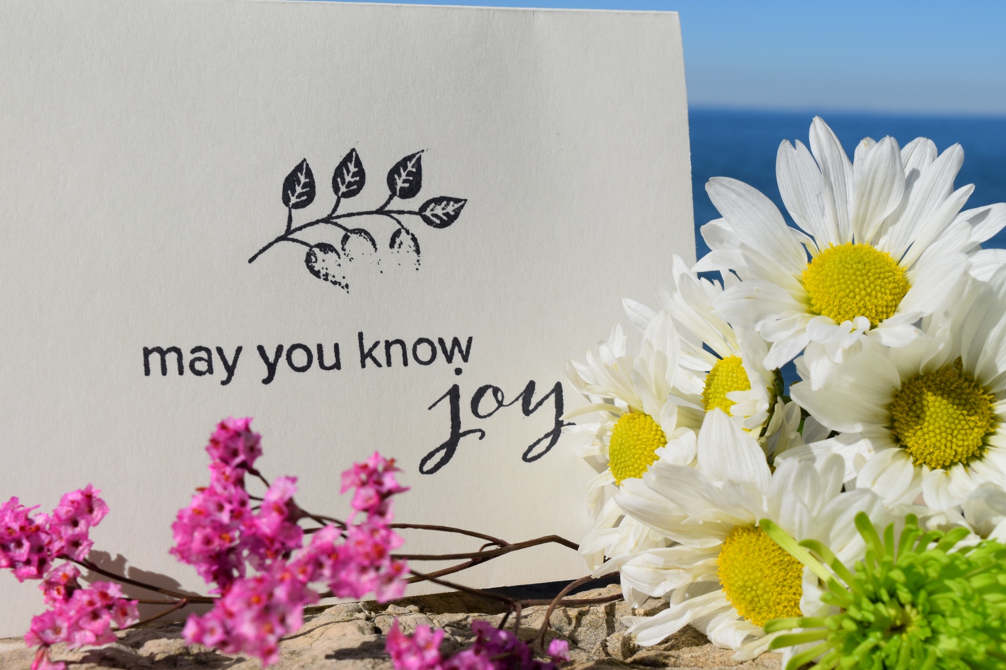 May You Know Joy meditation and intention cards